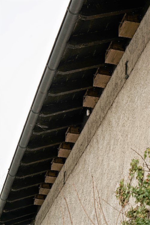 ResizerImage500X750