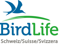 birdlife